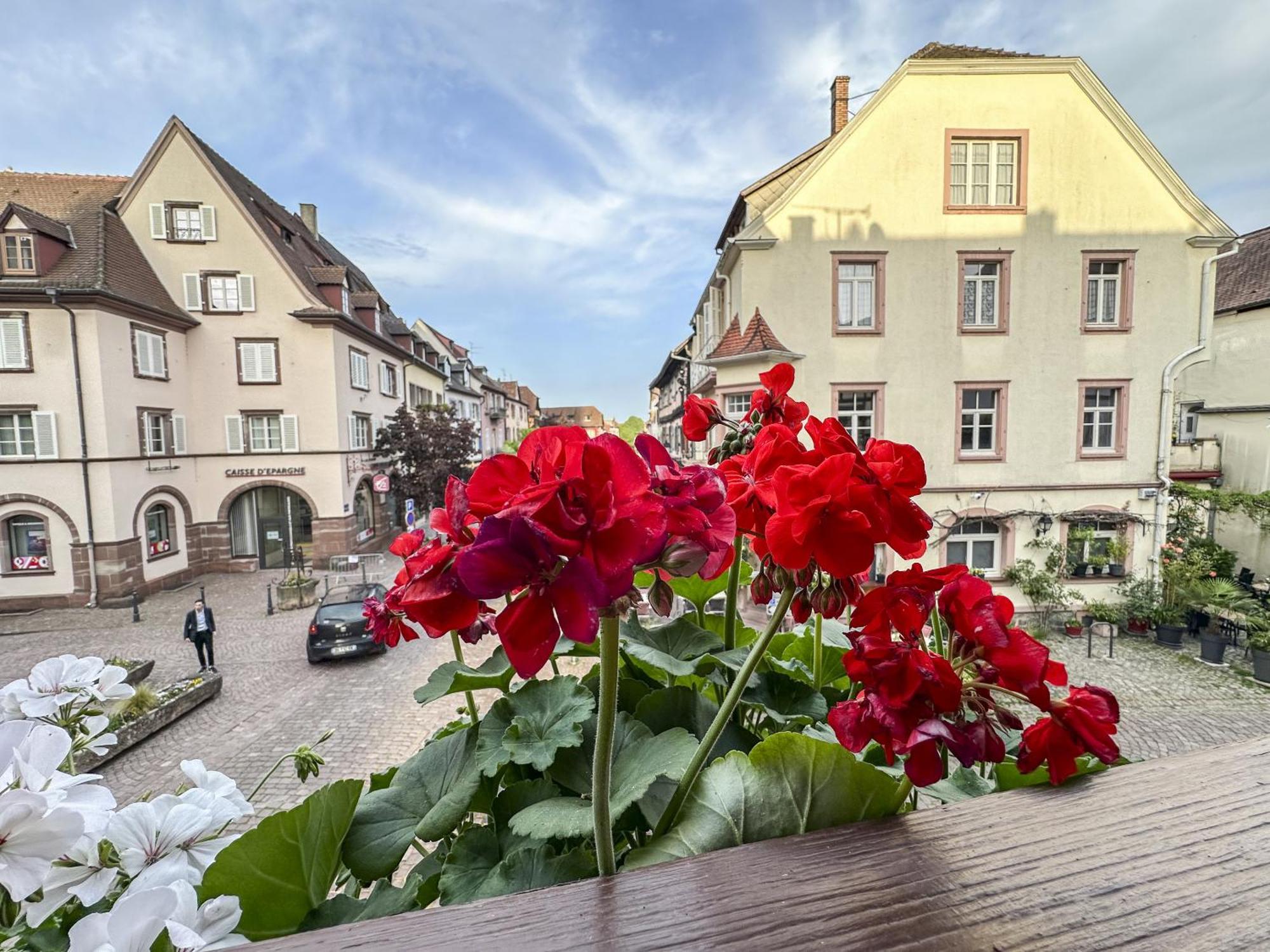 Apartamento Origin'Alsace Kaysersberg-Vignoble Exterior foto